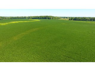 Property photo 14 - LAND AUCTION - 1,193+/- ACRES IN 14 TRACTS IN PIKE & GIBSON COUNTY, INDIANA